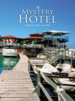 Book cover of The Mystery Hotel