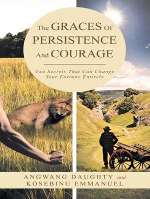 Cover of the book The Graces of Persistence and Courage by Roger Glen Melin