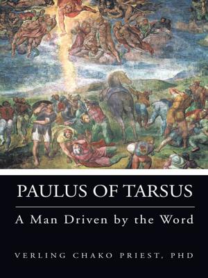 Cover of the book Paulus of Tarsus by Joya Georgiafay Kezas