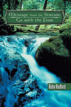 Cover of the book Message from the Stream: Go with the Flow by Donald R. Lunsford Sr.