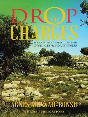 Cover of the book Drop the Charges by Joseph Donnelly