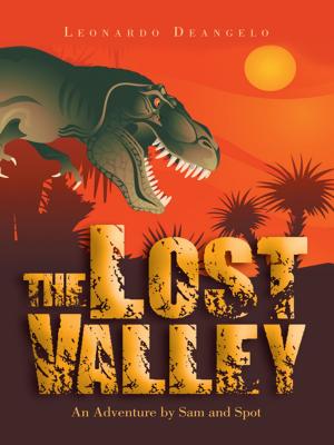 Cover of the book The Lost Valley by Natalya Hess