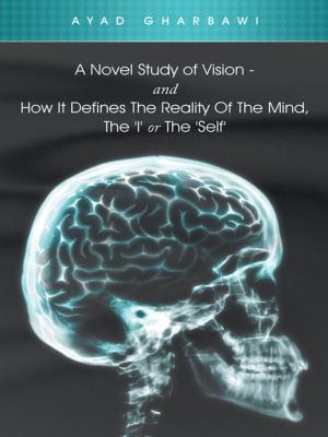 Book cover of A Novel Study of Vision - and How It Defines the Reality of the Mind, the 'I' or the 'Self'