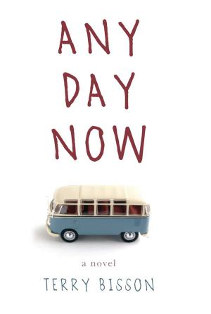 Cover of the book Any Day Now by Julie Sternberg