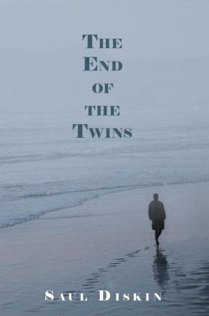 Cover of the book The End of the Twins by James E. Hopkins
