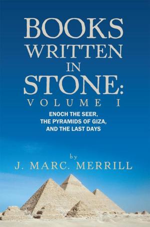 Cover of the book Books Written in Stone: Volume 1 by Randi Fredricks