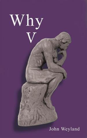 Cover of the book Why V by Michael Ham