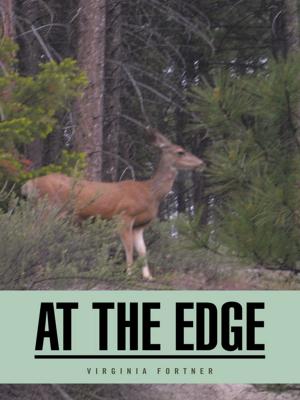 Cover of the book At the Edge by Levanah Shell Bdolak