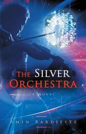 Cover of the book The Silver Orchestra by DJ Cooper