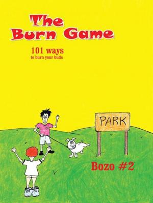 Cover of the book The Burn Game by Richard Wayne Bobholz