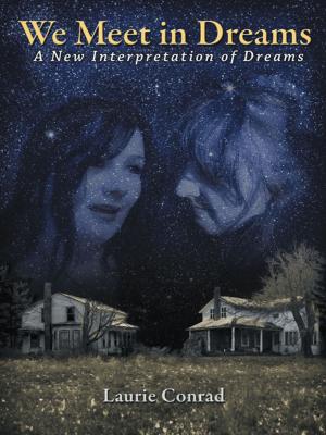 Cover of the book We Meet in Dreams by D. H. Crosby