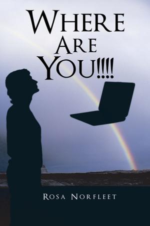 Cover of the book Where Are You!!!! by Shel Weissman