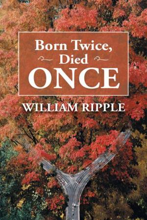 Cover of the book Born Twice, Died Once by Melki Rish
