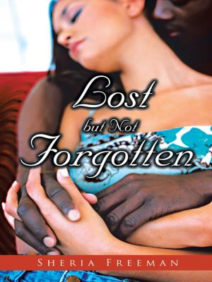 Cover of the book Lost but Not Forgotten by Mike Toth