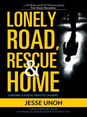 bigCover of the book Lonely Road, Rescue and Home by 