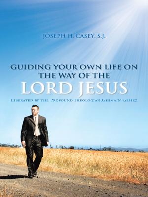 Cover of the book Guiding Your Own Life on the Way of the Lord Jesus by Devin Brown