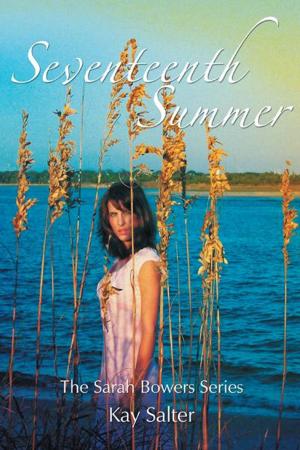 Book cover of Seventeenth Summer