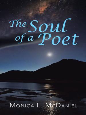 Cover of the book The Soul of a Poet by Wade Powers
