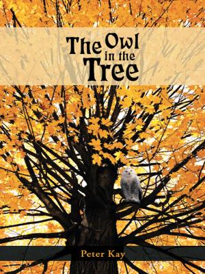 Cover of the book The Owl in the Tree by Ann Kristin Haldors Fontaine