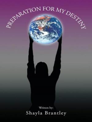 Cover of the book Preparation for My Destiny by Linda J. Williams