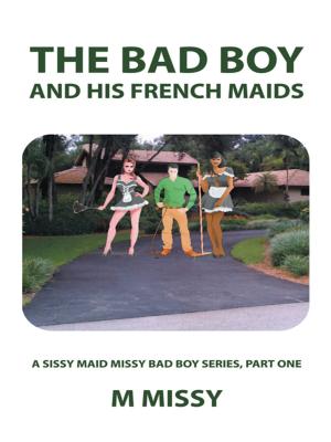 Book cover of The Bad Boy and His French Maids