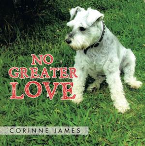 Cover of the book No Greater Love by Jim Rakes