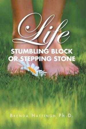 Cover of the book Life – Stumbling Block or Stepping Stone by Sandra Walsh