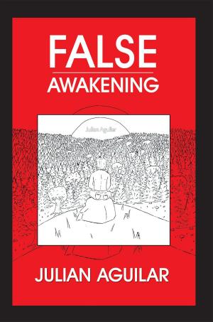 Cover of the book False Awakening by Bridgett Parsons M.Ed