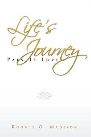 Cover of the book Life's Journey by Phelim O'Malley, MBA, CFP