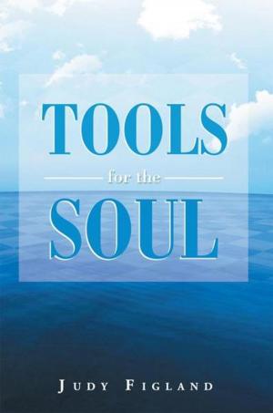 Book cover of Tools for the Soul