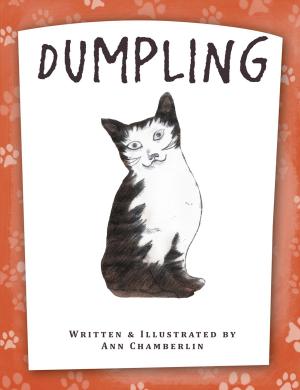 Cover of the book Dumpling by Richard Hawkey
