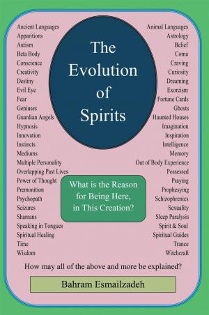 Cover of the book The Evolution of Spirits by Becca Puglisi, Angela Ackerman
