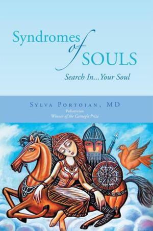 Cover of the book Syndromes of Souls by Kendrick F. Snipe