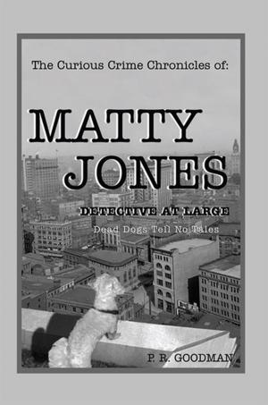 Cover of the book The Curious Crime Chronicles of :Matty Jones,Detective at Large by Terry Ann Williams-Richard