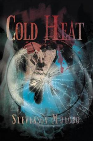 Cover of the book Cold Heat by Youth the Writer