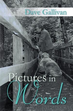 Cover of the book Pictures in Words by Anthony John Moore