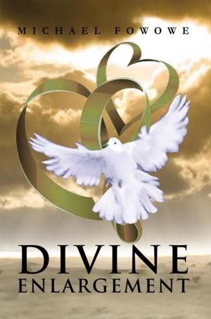 Cover of the book Divine Enlargement by Jordan Raggio