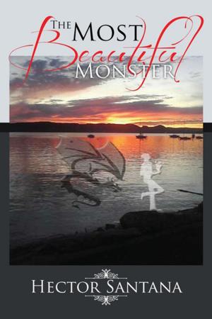 Cover of the book The Most Beautiful Monster by Tizalu Kide Amberber