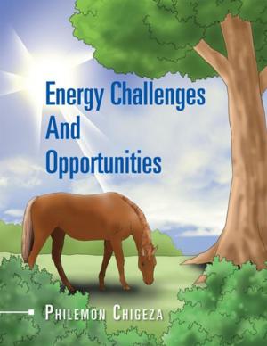 Cover of the book Energy Challenges and Opportunities by Cherrill Clough