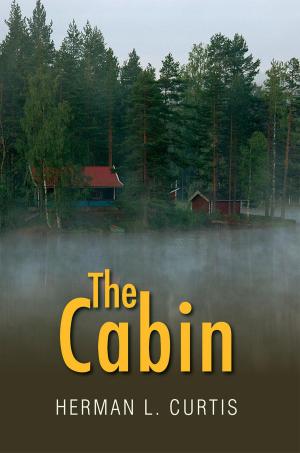 Cover of the book The Cabin by Stan Davis