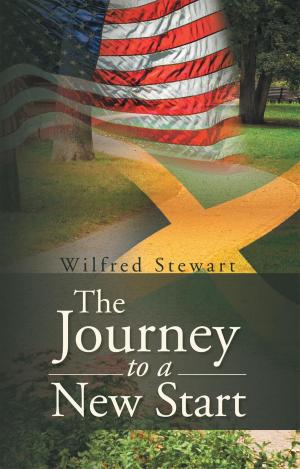 Cover of the book The Journey to a New Start by Bernadette Trotman