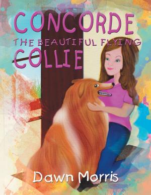 Cover of the book Concorde the Beautiful Flying Collie by Edmund Raas