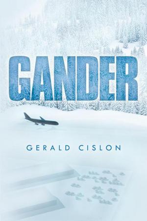 Cover of the book Gander by Marlene E. Purvis