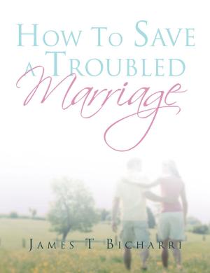 Cover of the book How to Save a Troubled Marriage by Len Vorster