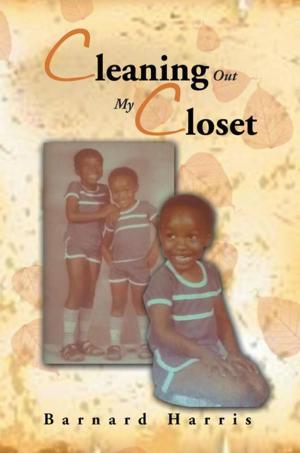 Cover of the book Cleaning out My Closet by Nathan Kravetz