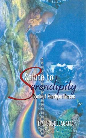 Cover of the book Salute to Serendipity by Edward Stanford