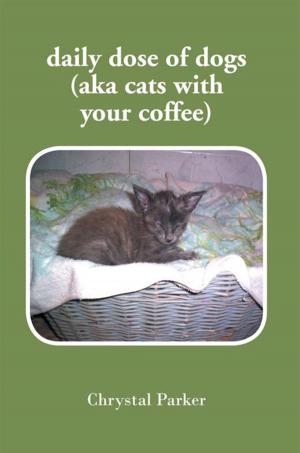 Cover of the book Daily Dose of Dogs (Aka Cats with Your Coffee) by Maria De Los Angeles Aliser