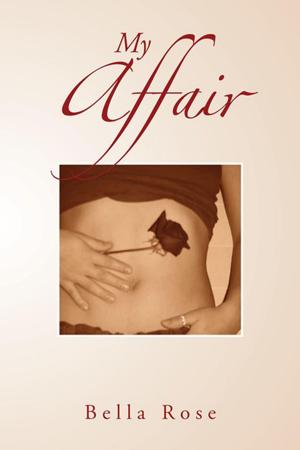 Cover of the book My Affair by Albert C Goldberg