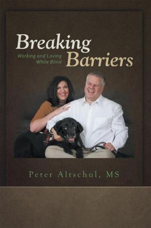 Cover of the book Breaking Barriers by J. A. Duffy