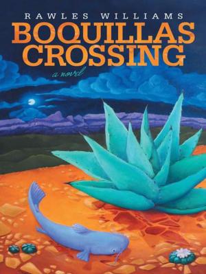 Book cover of Boquillas Crossing
